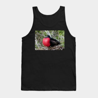 Magnificent Frigatebird Tank Top